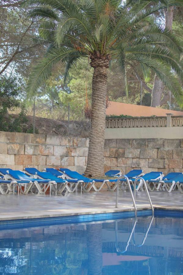 ホテル Elegance Playa Arenal エル・アレナル 設備 写真